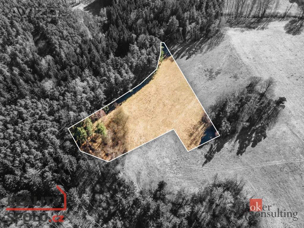 Prodej pozemky - trvalý travní porost, 6 801 m2 -