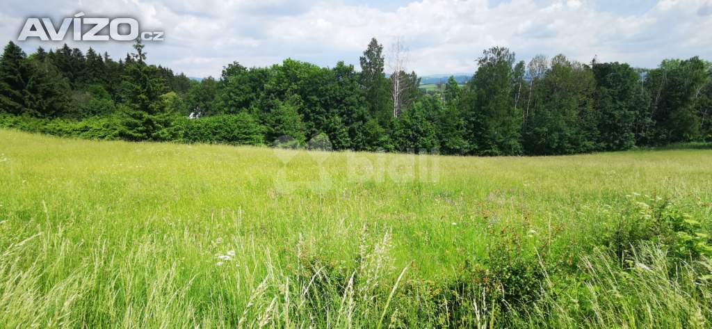 Prodej pozemku (6862m2) pro výstavbu rodinného domu poblíž Českého ráje
