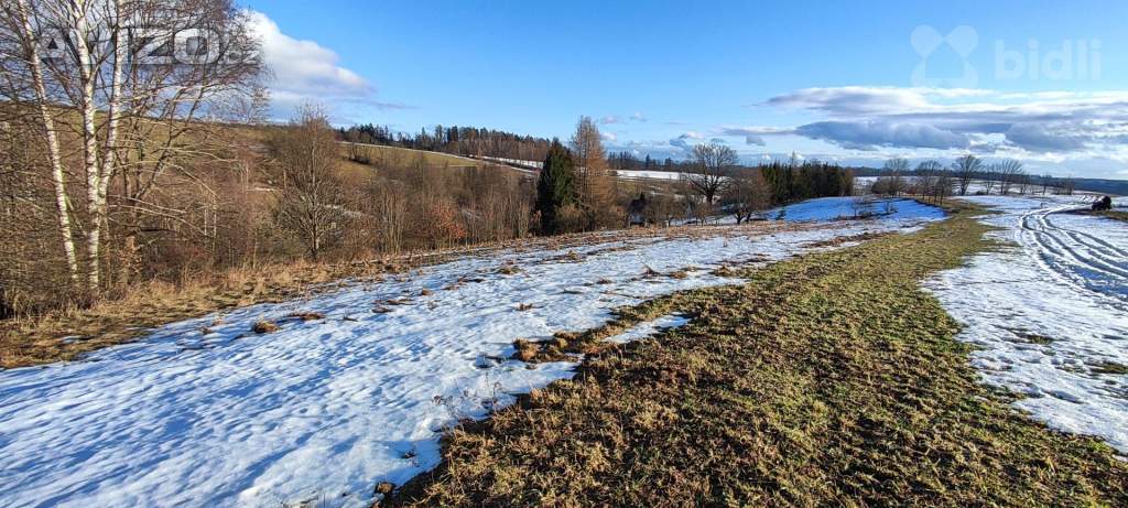 Prodej pozemku / louky 3998m2 v Krkonoších