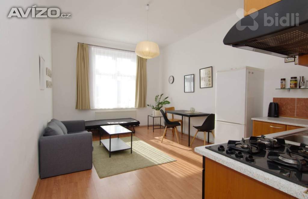 Byt 2+kk, 50 m2, cihla, OV, Praha Vinohrady