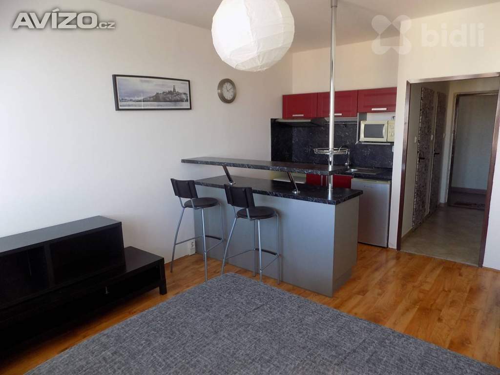 Pronájem bytu 1+kk, 24 m2, Údolní, Praha - Braník