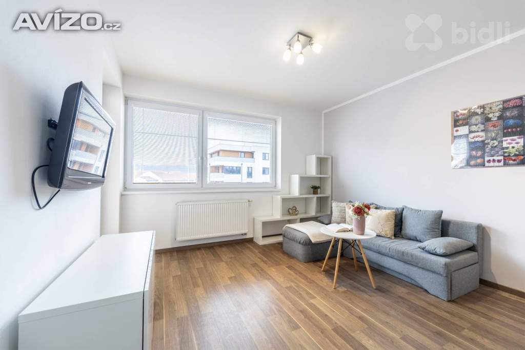 Pronájem bytu 1+kk (30 m²) s lodžií v Přezleticích
