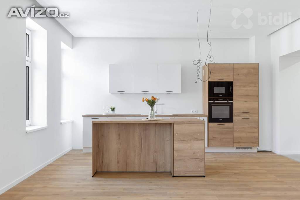 Pronájem, byt 3+kk, 104 m2, Ostrava, ul. Masná