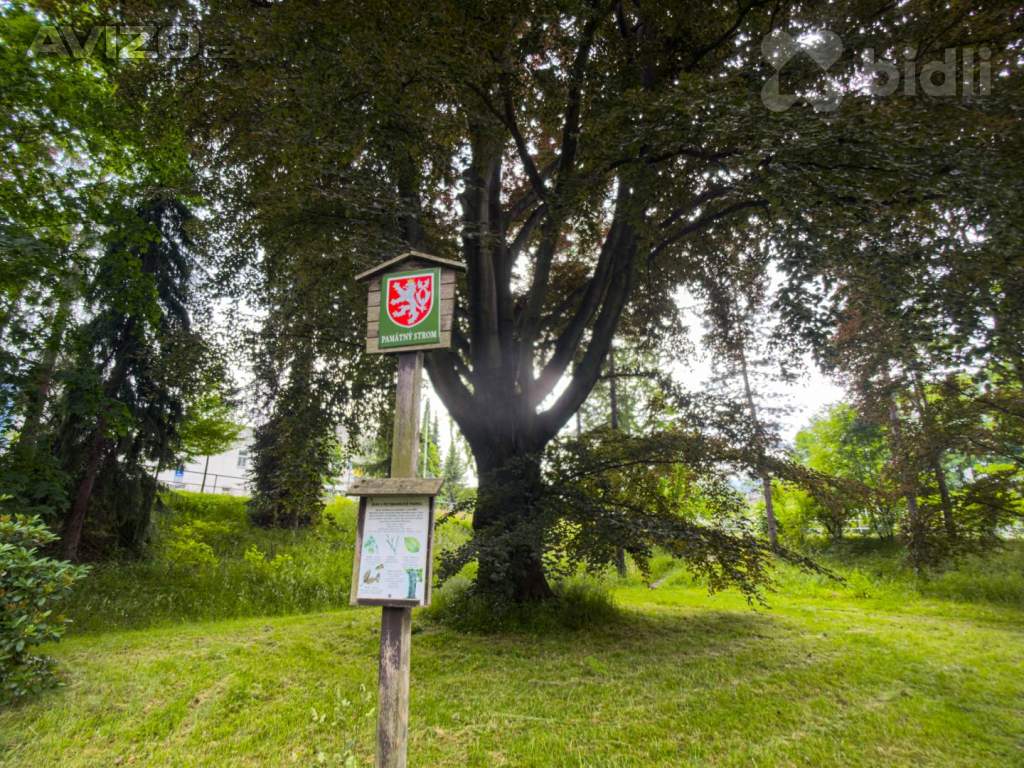 Foto inzerátu Prodej bytu 5+1 o velikosti 122m2 + zahrada, Jeseník