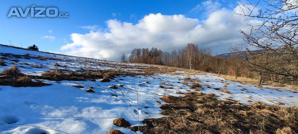 Foto inzerátu Prodej pozemku / louky 3998m2 v Krkonoších