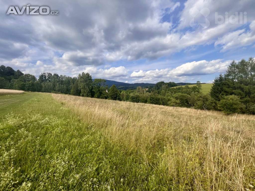 Foto inzerátu Prodej pozemku / louky 3998m2 v Krkonoších