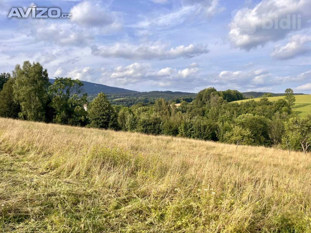 Foto inzerátu Prodej pozemku / louky 3998m2 v Krkonoších
