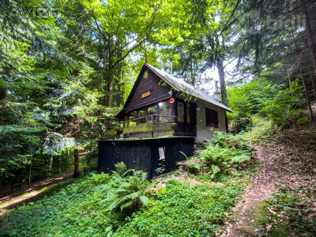 Prodej chaty o velikosti 38 m2 v lese s elektřinou
