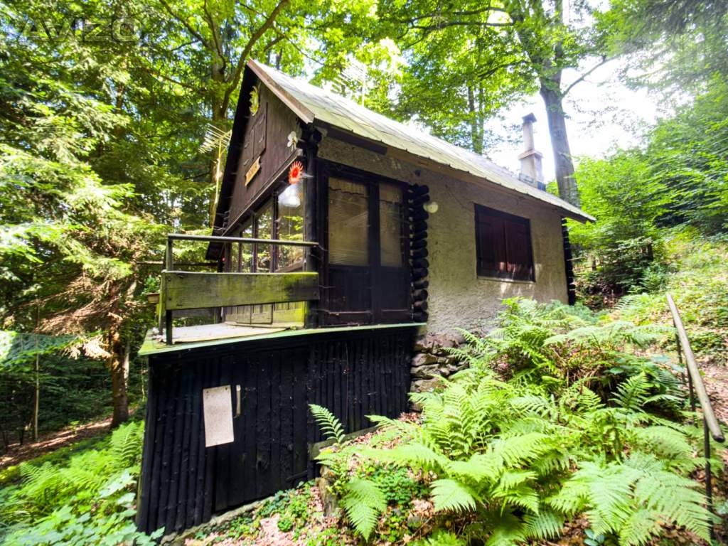 Foto inzerátu Prodej chaty o velikosti 38 m2 v lese s elektřinou