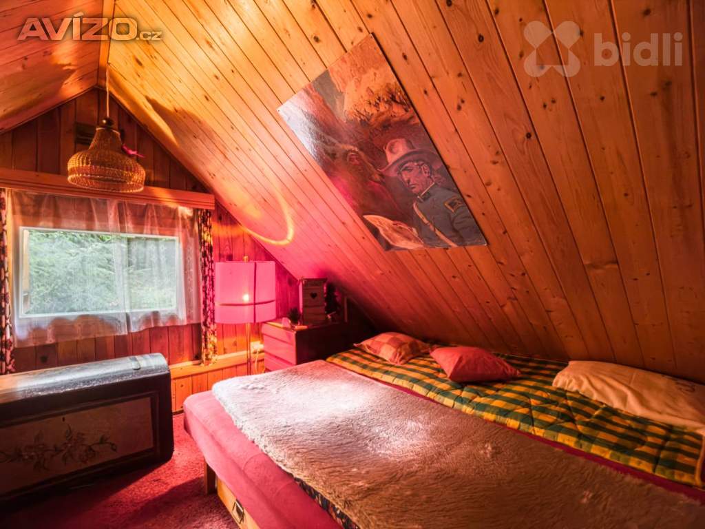 Foto inzerátu Prodej chaty o velikosti 38 m2 v lese s elektřinou