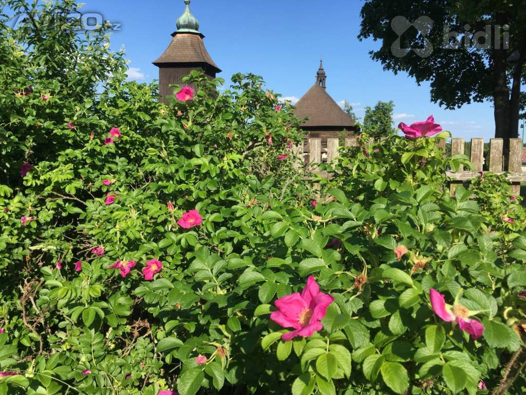 Foto inzerátu Veliny - poloroubenka - pozemek 4485m2