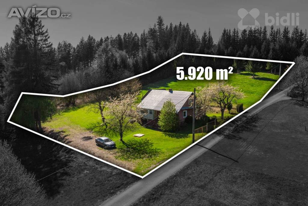 Foto inzerátu Chalupa, 5 920 m², Bukovec
