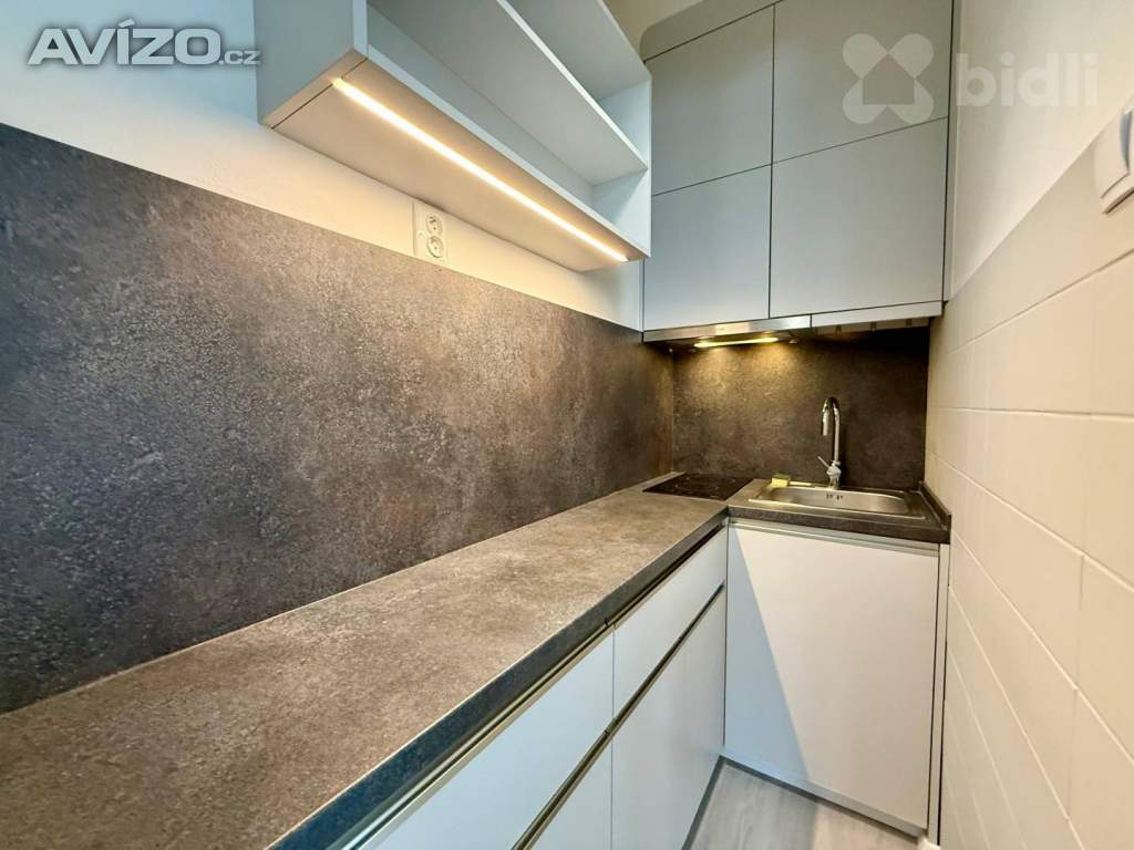 Pronájem bytu 1+kk, 24 m², Holešovice