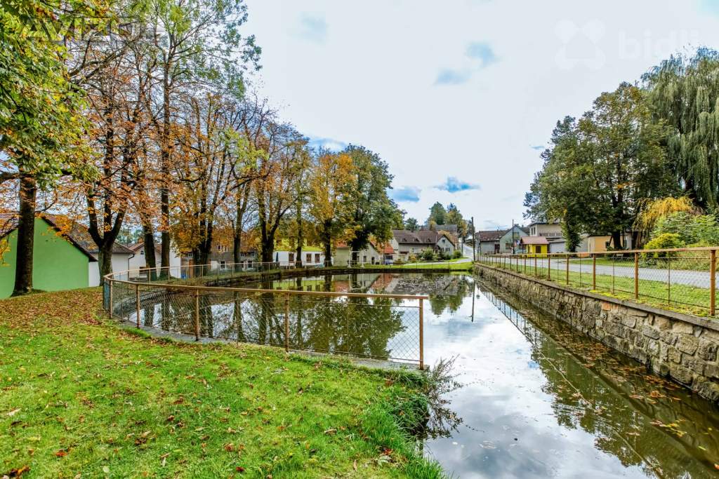 Foto inzerátu Prodej vesnické usedlosti v Černově