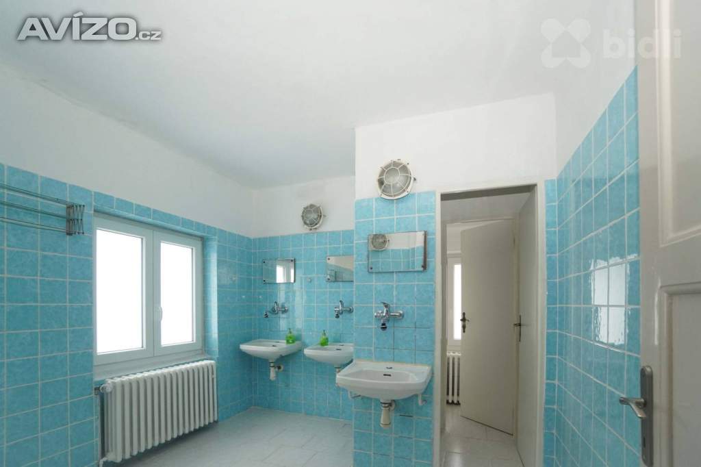 Foto inzerátu Prodej dvou ubytovacích zařízení 968 m2 užitné plochy, s pozemkem 4150 m2, Lučany nad Nisou