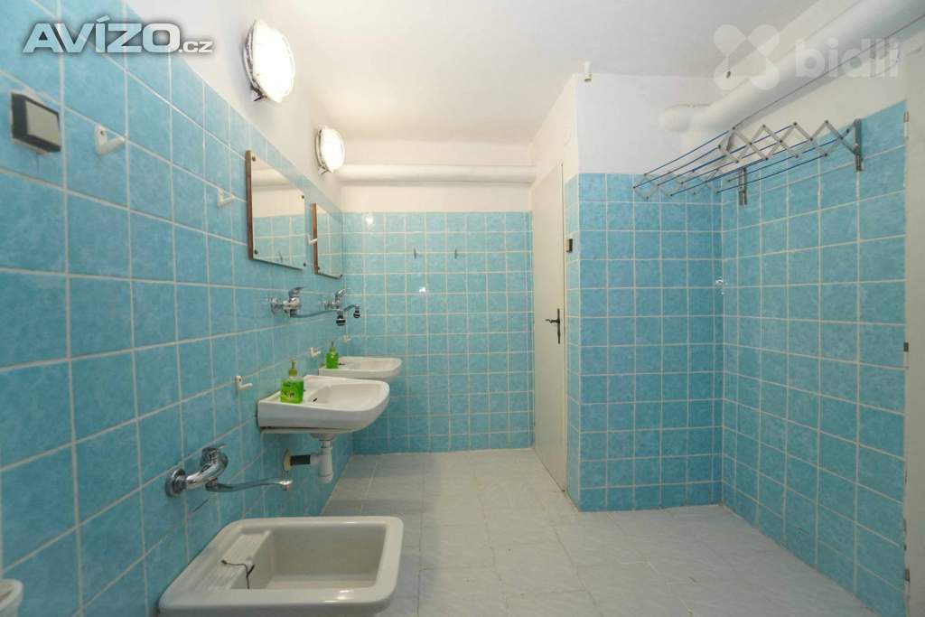 Foto inzerátu Prodej dvou ubytovacích zařízení 968 m2 užitné plochy, s pozemkem 4150 m2, Lučany nad Nisou