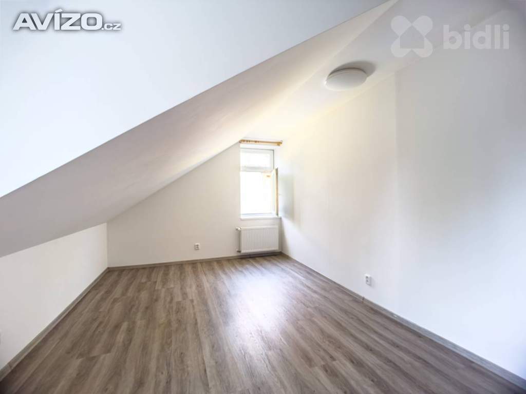 Foto inzerátu Prodej prostorné vily s čtyřmi byty ve vyhledávané části Františkových Lázní