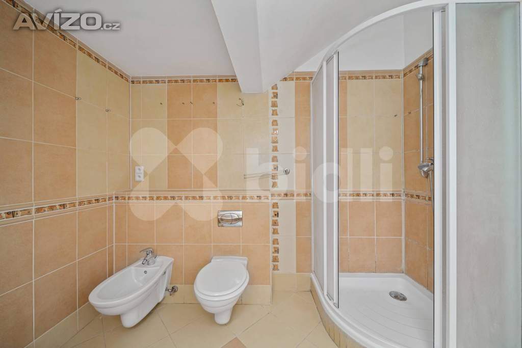 Foto inzerátu Prodej, rodinný dům s nebytovým prostorem, Svobodné Dvory, Hradec Králové