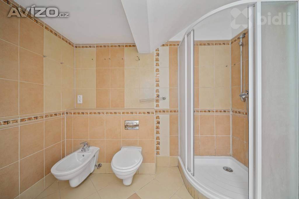 Foto inzerátu Prodej, rodinný dům s nebytovým prostorem, Svobodné Dvory, Hradec Králové