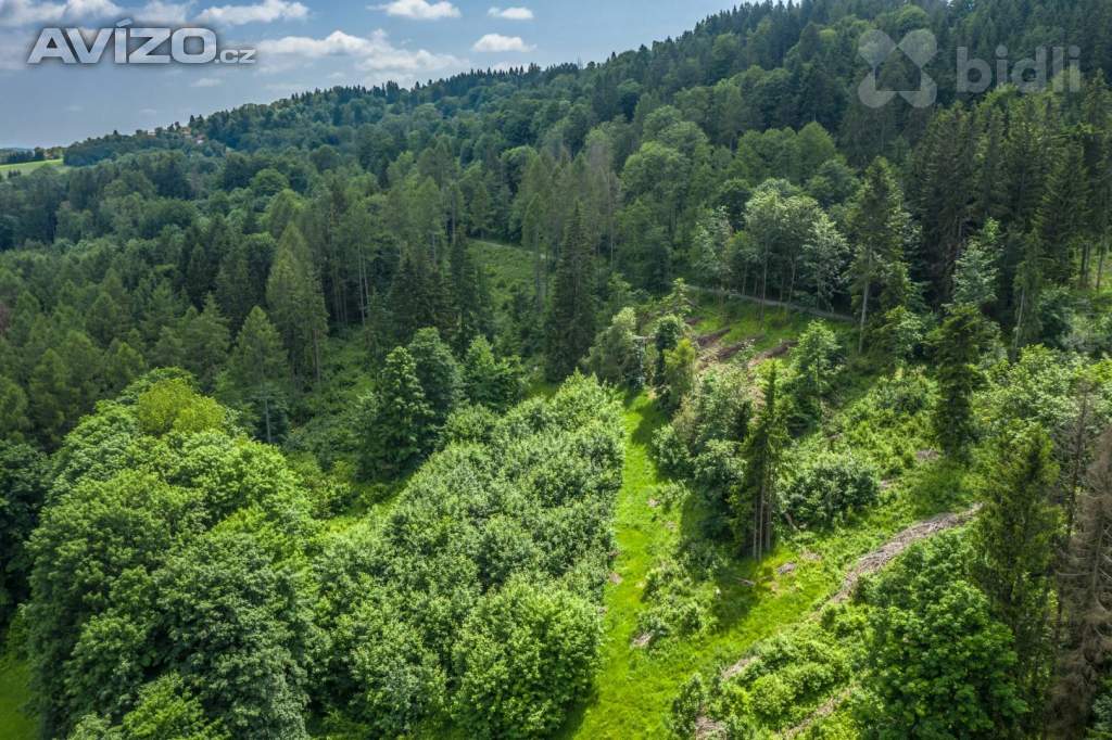 Foto inzerátu Prodej lesního pozemku 7 528m2 - Chuchelna | Klid, polosamota, investiční příležitost