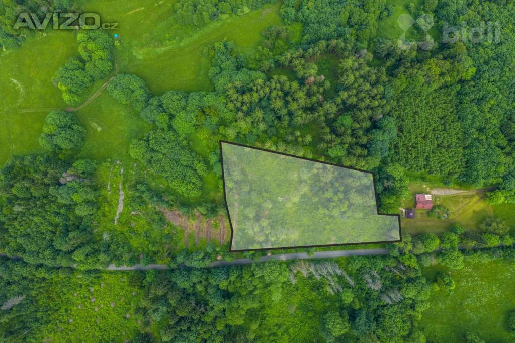 Prodej lesního pozemku 29 930 m2 - Chuchelna | Rozsáhlý les, klid a soukromí, přístup zajištěn