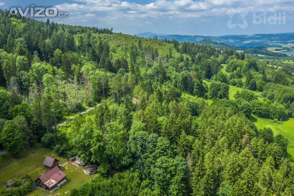 Foto inzerátu Prodej lesního pozemku 29 930 m2 - Chuchelna | Rozsáhlý les, klid a soukromí, přístup zajištěn