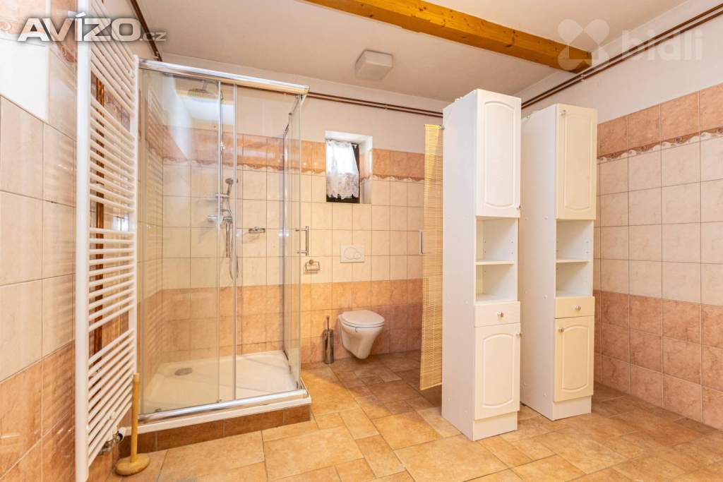 Foto inzerátu Zemědělská usedlost, RD 5+1, pozemek 160 435 m2, Polerady u Prahy