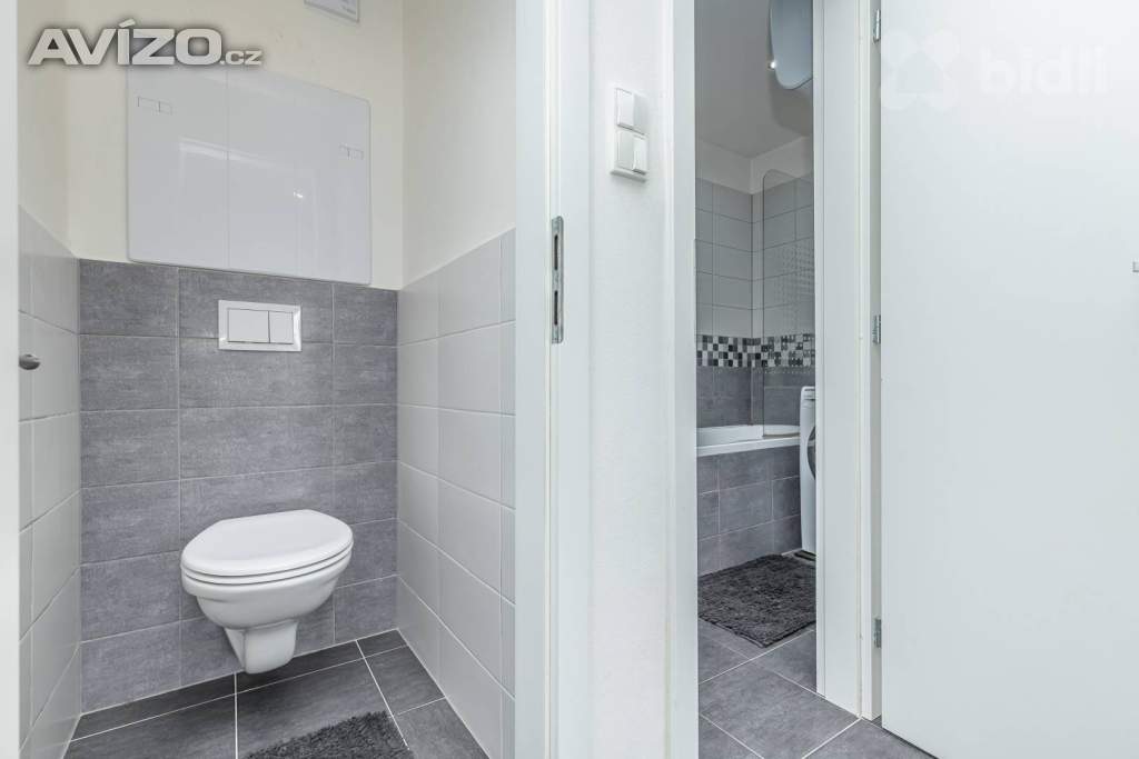 Foto inzerátu Byt 3+kk po rekonstrukci, s klimatizací, sklepem a dvojgaráží, Budihostice