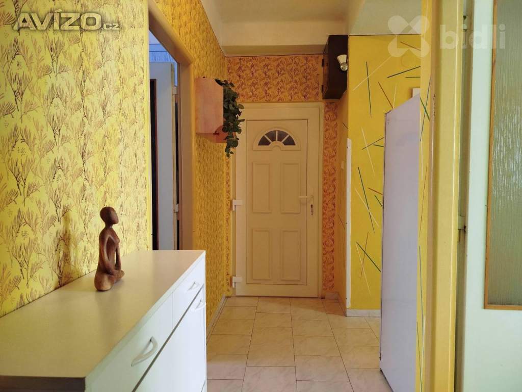 Foto inzerátu Byt 3+kk s garáží, sklepy a potenciálem Čejkovice, okres Znojmo