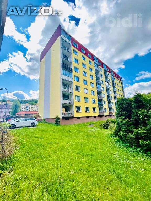 Foto inzerátu Prodej bytu 2+1, Desná