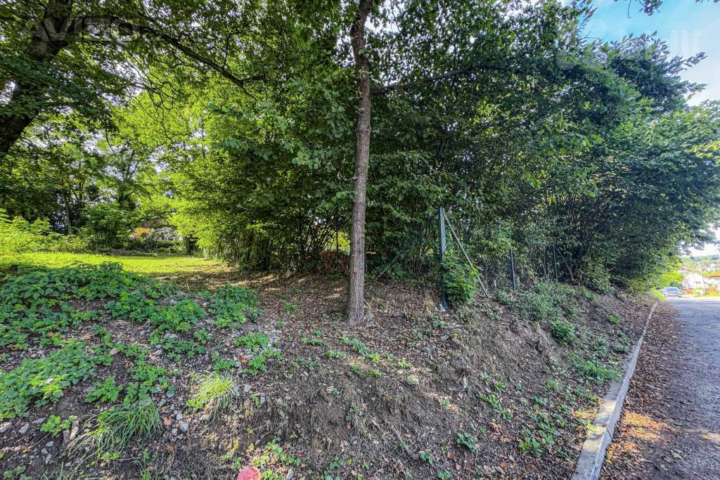 Foto inzerátu Stavební pozemek o výměře 1600 m2 v obci Týnec nad Sázavou-Podělusy, okr, Benešov