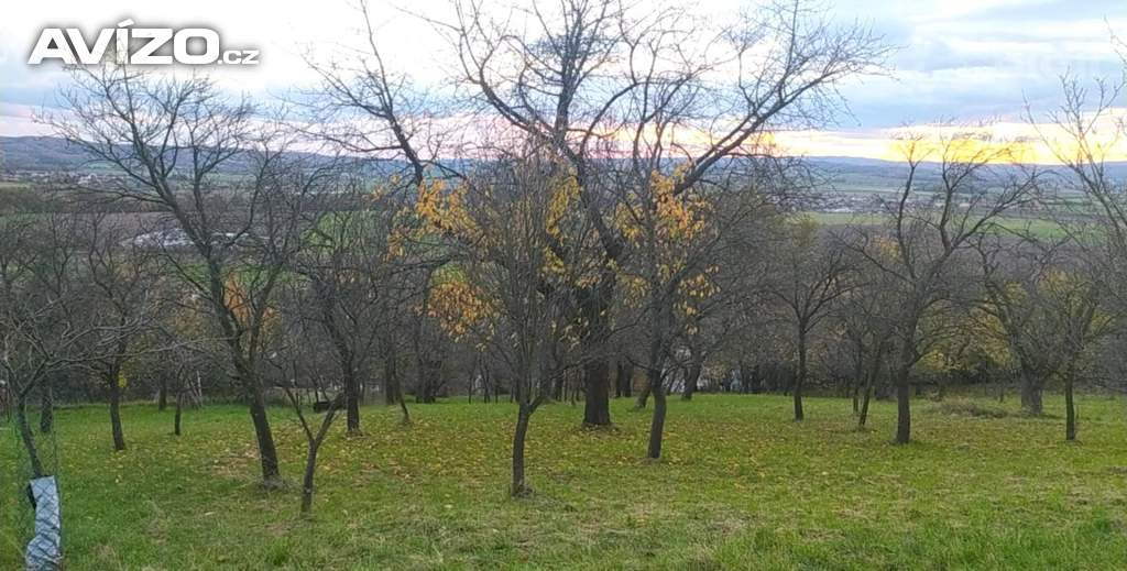 Prodej zahrady 3 492 m2 - Přílepy u Holešova-Vinohrádky