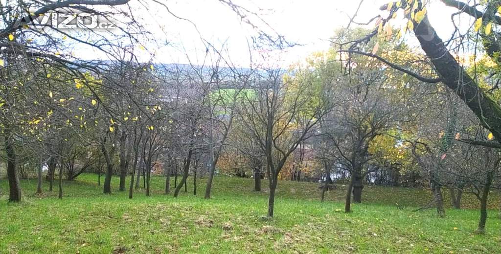 Foto inzerátu Prodej zahrady 3 492 m2 - Přílepy u Holešova-Vinohrádky