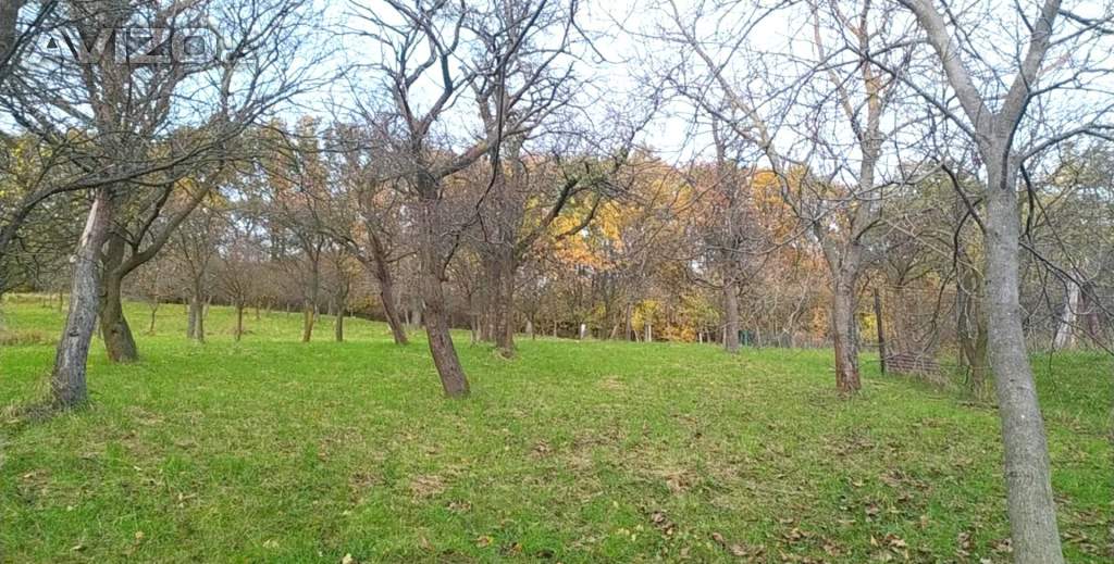 Foto inzerátu Prodej zahrady 3 492 m2 - Přílepy u Holešova-Vinohrádky