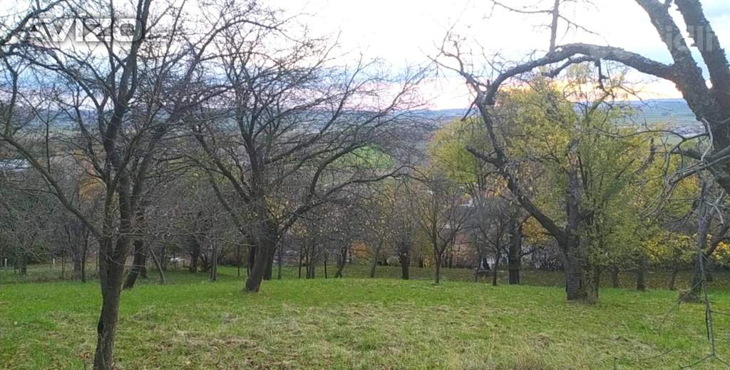 Foto inzerátu Prodej zahrady 3 492 m2 - Přílepy u Holešova-Vinohrádky