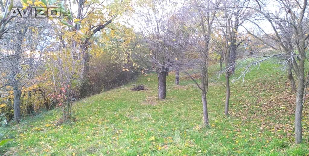 Foto inzerátu Prodej zahrady 3 492 m2 - Přílepy u Holešova-Vinohrádky