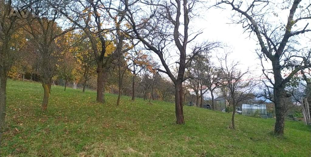 Foto inzerátu Prodej zahrady 3 492 m2 - Přílepy u Holešova-Vinohrádky