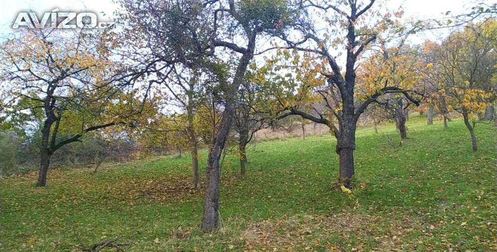 Foto inzerátu Prodej zahrady 3 492 m2 - Přílepy u Holešova-Vinohrádky