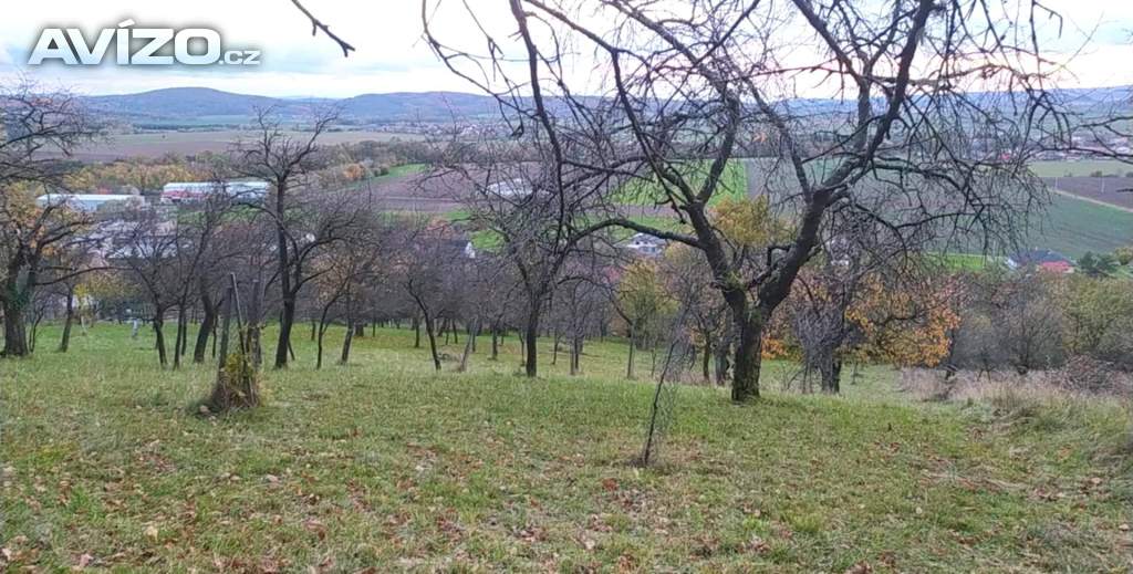 Foto inzerátu Prodej zahrady 3 492 m2 - Přílepy u Holešova-Vinohrádky