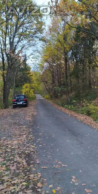 Foto inzerátu Prodej zahrady 3 492 m2 - Přílepy u Holešova-Vinohrádky