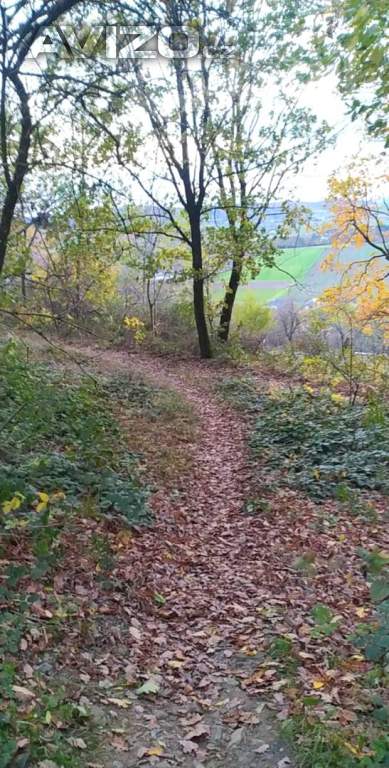 Foto inzerátu Prodej zahrady 3 492 m2 - Přílepy u Holešova-Vinohrádky