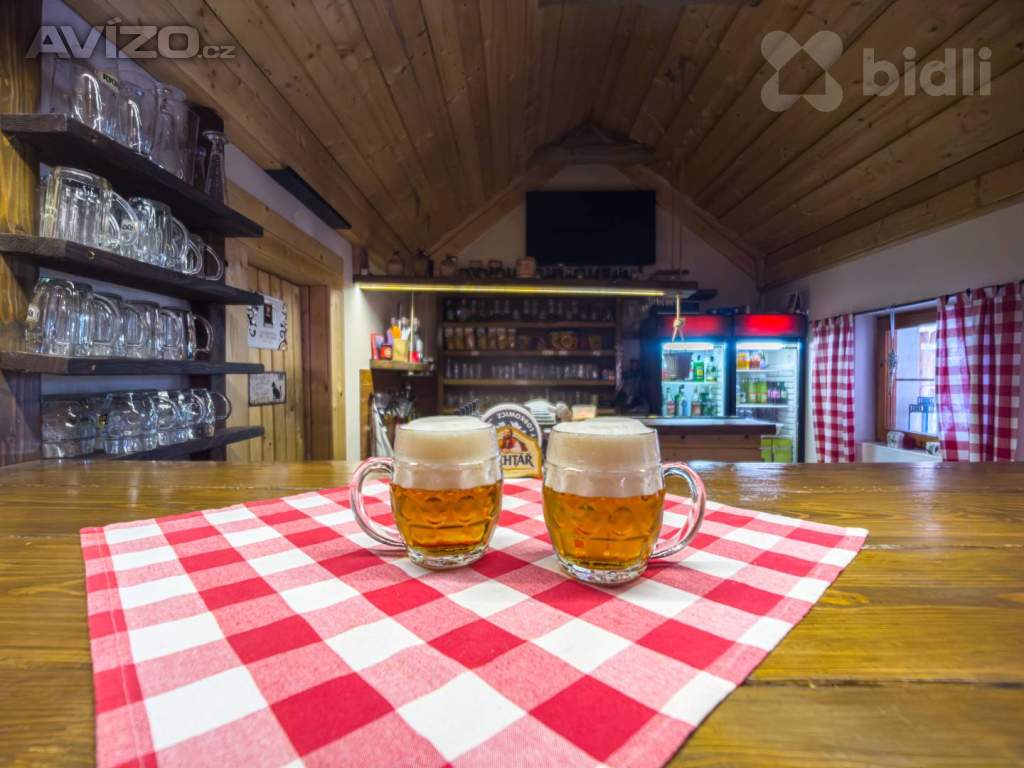 Foto inzerátu Prodej domu 300 m², pozemek 2372 m² Ryžoviště
