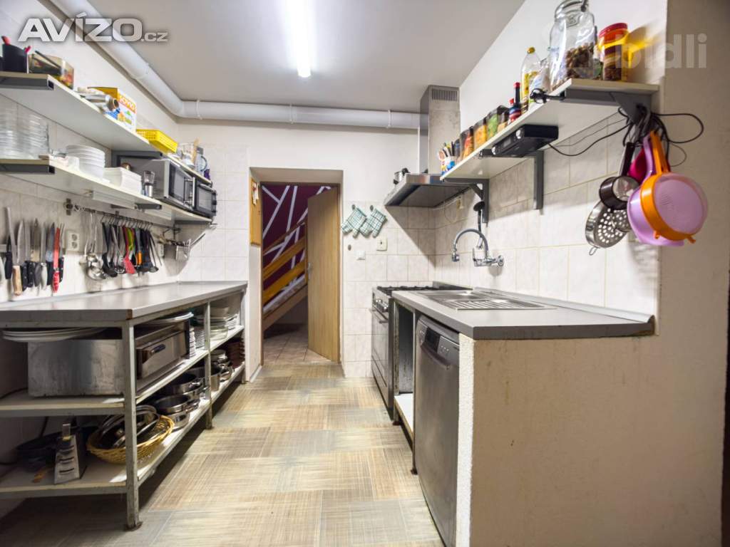 Foto inzerátu Prodej domu 300 m², pozemek 2372 m² Ryžoviště