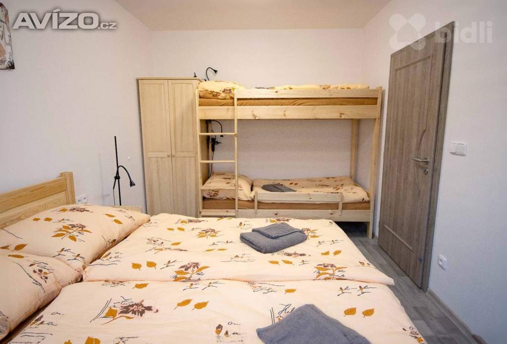 Foto inzerátu Prodej apartmánu 2+kk, 45 m2 - Červená Voda, Mlýnický Dvůr
