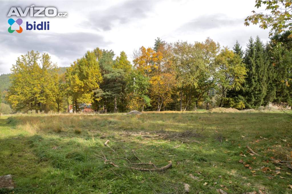 Foto inzerátu Prodej stavebního pozemku 801 m2, Chlum u Křemže