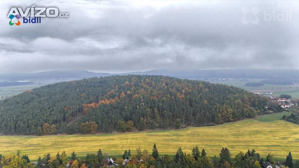 Foto inzerátu Prodej stavebního pozemku 801 m2, Chlum u Křemže