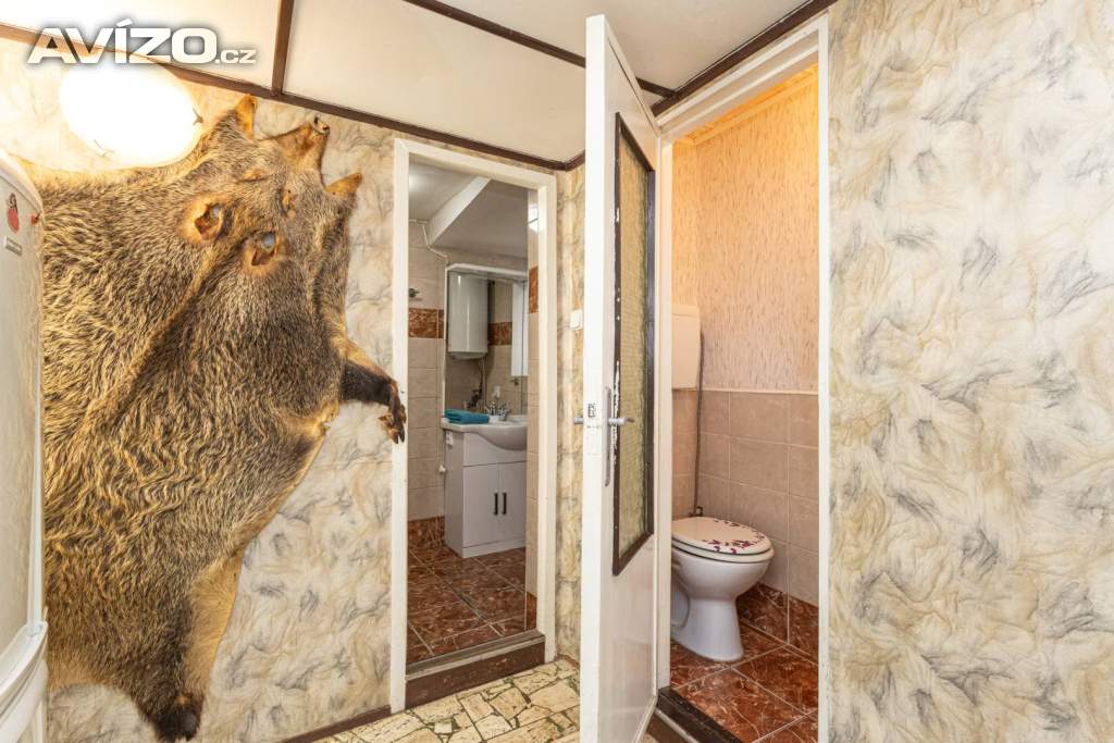 Foto inzerátu Prodej chaty v Řícmanicích