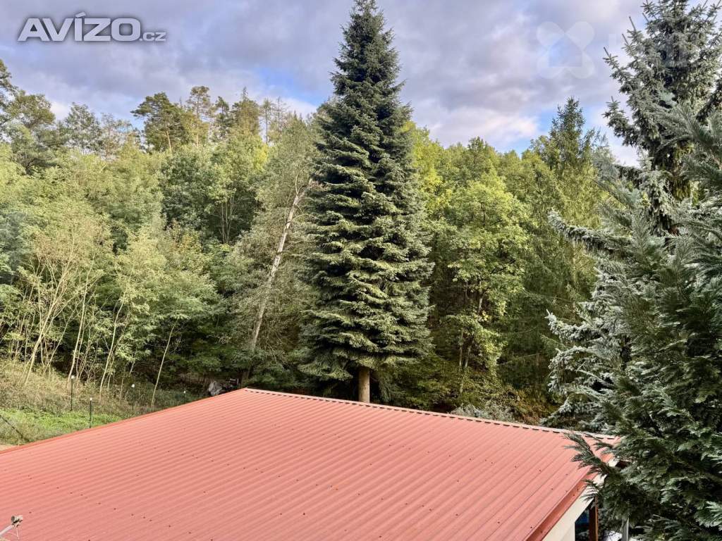 Foto inzerátu Prodej zděné chaty Neslovice