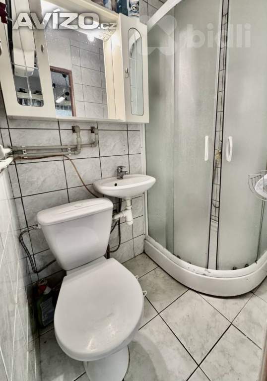 Foto inzerátu Prodej zděné chaty Neslovice