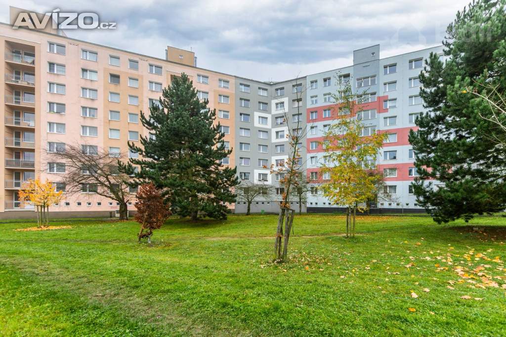 Pronájem bytu Žlutická